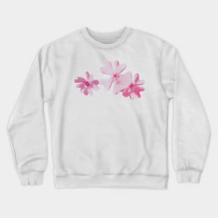 Pink Phlox Flowers Crewneck Sweatshirt